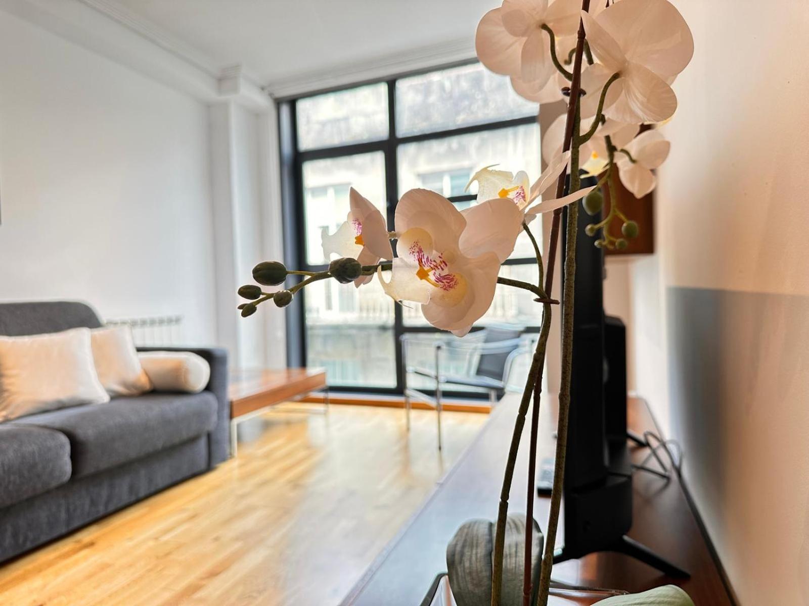 Centrico Apartamento Irmandinos Con Garaje - Homeygalicia 比戈 外观 照片